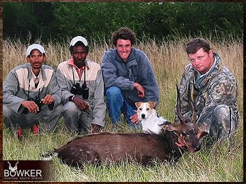 Trophy Hunting South Africa 123 Bushbuck trophy hunted in South Africa.