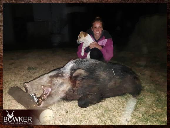 Bushpig Hunting - All You Need to Know About Hunting Bushpig 7 Bushpig hunting