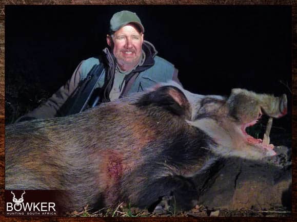 Bushpig Hunting - All You Need to Know About Hunting Bushpig 4 Bush pig hunting