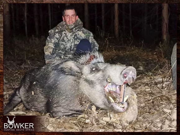Bushpig Hunting - All You Need to Know About Hunting Bushpig 5 Trophy shot with Nick Bowker Hunting