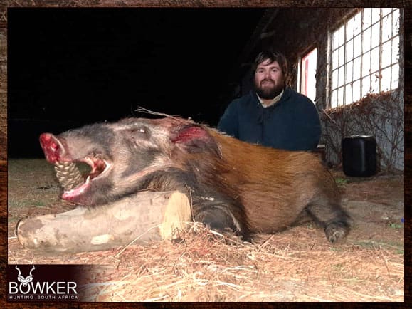 Bushpig Hunting - All You Need to Know About Hunting Bushpig 8 Trophy shot with Nick Bowker