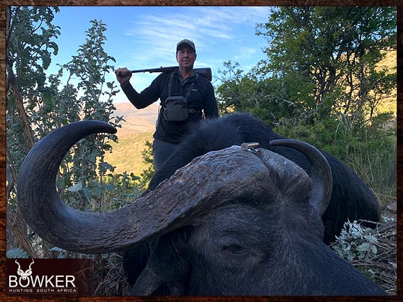Cape Buffalo Hunting - All About Hunting Cape Buffalo 3 Cape Buffalo hunting with Nick Bowker.