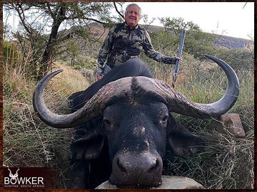 Free Range Hunting and Fair Chase Hunts in South Africa 26 Cape buffalo hunting safari.