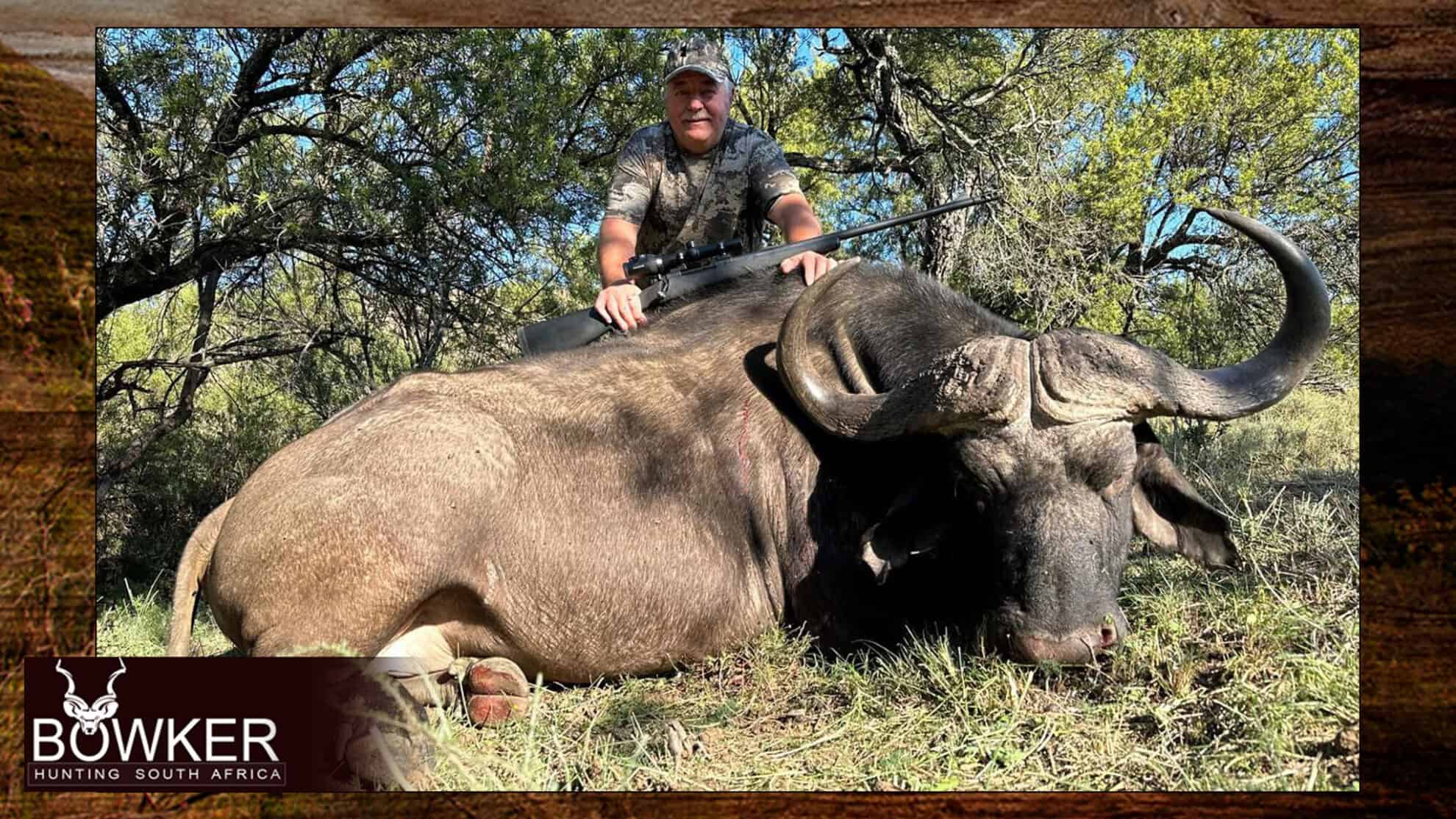 Cape Buffalo Hunting Packages and Prices - Hunt Cape Buffalo 14 Cape Buffalo hunts with Nick Bowker