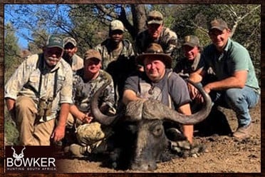 Cape Buffalo Hunting Packages and Prices - Hunt Cape Buffalo 6 Buffalo cow shot as part of a Cape Buffalo package. Prices are all inclusive.
