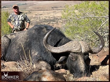 Trophy Hunting South Africa 92 Cape Buffalo trophy hunting in South Africa.