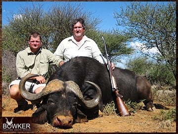 Trophy Hunting South Africa 95 Cape Buffalo trophy hunting in South Africa.