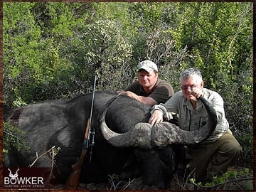 Trophy Hunting South Africa 93 Cape Buffalo trophy hunting in South Africa.