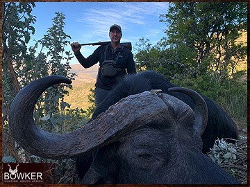 Trophy Hunting South Africa 100 Cape buffalo trophy hunting.