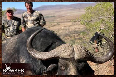 Cape Buffalo Hunting Packages and Prices - Hunt Cape Buffalo 22 Large buffalo trophy shot with Nick Bowker Hunting.