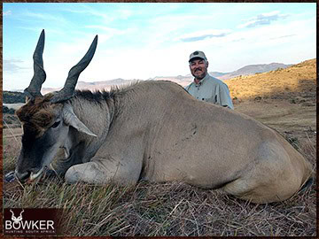 Trophy Hunting South Africa 102 Cape Eland rifle hunted in Africa.