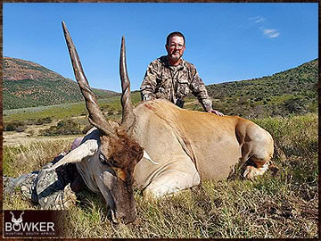 Free Range Hunting and Fair Chase Hunts in South Africa 11 Cape Eland