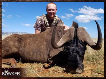 Plains Game Hunting in Africa - Hunt Plains Game with Nick Bowker 23 Client with a black wildebeest hunted with Nick Bowker.