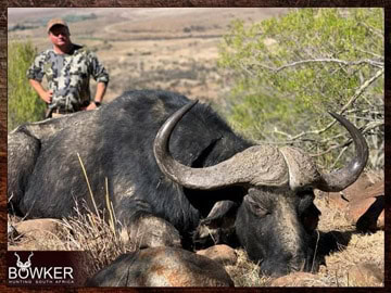 Plains Game Hunting in Africa - Hunt Plains Game with Nick Bowker 13 Client with a Cape Buffalo on a dangerous game hunt.
