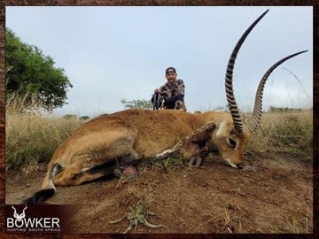 Plains Game Hunting in Africa - Hunt Plains Game with Nick Bowker 37 Client with a red lechwe shot while bow hunting.
