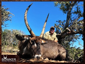 Plains Game Hunting in Africa - Hunt Plains Game with Nick Bowker 25 Client with a waterbuck hunted safari style.