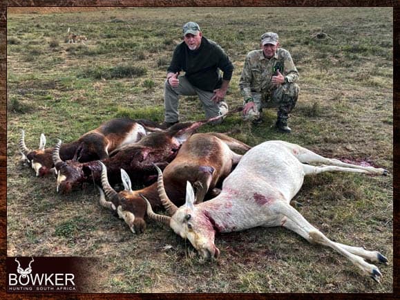 African Cull Hunt - come and enjoy some Trigger Time 4 30 animal south african cull hunt