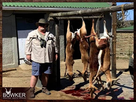 African Cull Hunt - come and enjoy some Trigger Time 13 Springbok shot on an African safari cull hunt.
