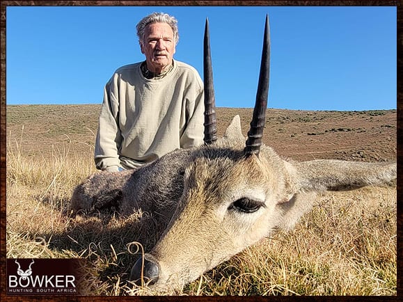 Mountain Reedbuck Hunting - About Reedbuck Hunts 31 Difference between a mountain reedbuck and a grey rhebok. and
