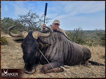 Trophy Hunting South Africa 17 Discount african blue wildebeest hunt safari with Nick Bowker.