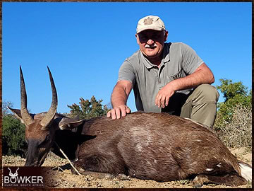 Trophy Hunting South Africa 133 Discount african bushbuck hunt safari with Nick Bowker.