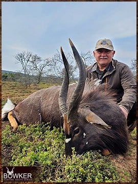 Trophy Hunting South Africa 60 Discount african nyala hunt safari with Nick Bowker.