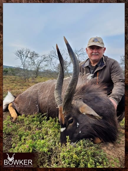 Nyala Hunting - All You Need to know about Nyala Hunts 24 Discount african nyala hunt safari with Nick bowker.