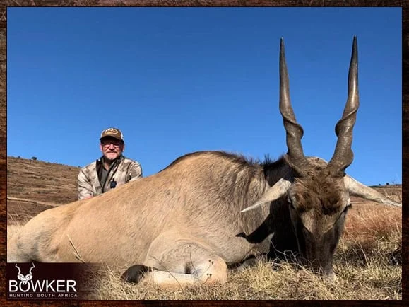 Hunt in South Africa - A Guide to South African Hunting Safaris 16 Eastern Cape Eland hunting.