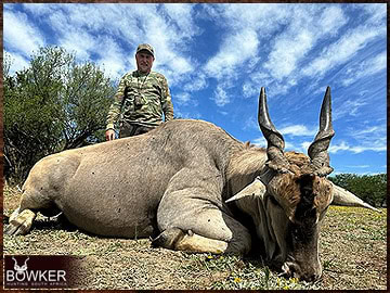 Trophy Hunting South Africa 116 Cape Eland hunted 2023