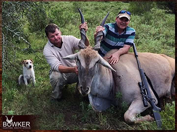 Trophy Hunting South Africa 105 Eland trophy hunting in South Africa.