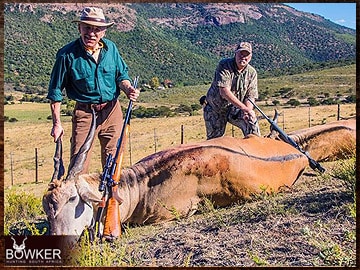 Trophy Hunting South Africa 104 Eland trophy hunting in South Africa.