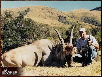 Trophy Hunting South Africa 106 Eland trophy hunting in South Africa.