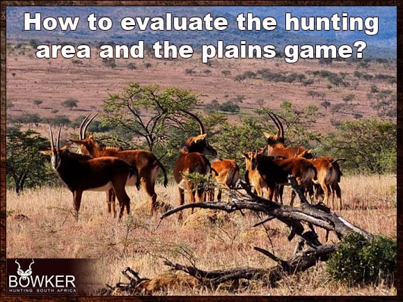 Choosing an African Outfitter for a Guided Hunt 26 How to evaluate your hunting area?