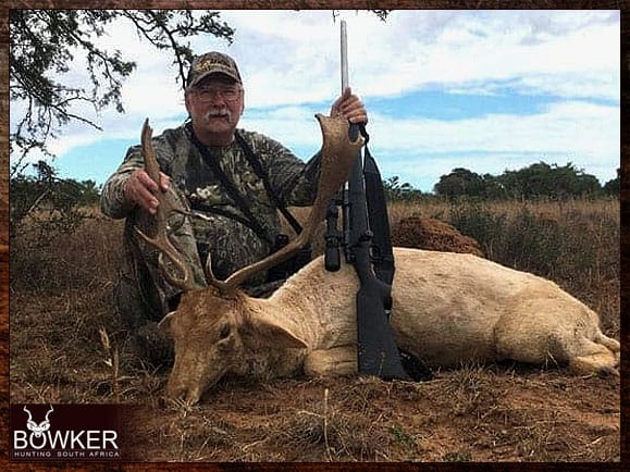 My African Hunt 11 Fallow deer African hunt.