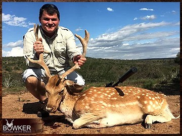 Trophy Hunting South Africa 35 Fallow Deer hunted safari style.
