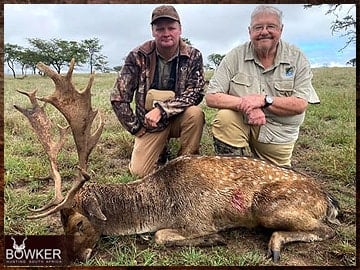 Trophy Hunting South Africa 28 Fallow deer hunted safari style.
