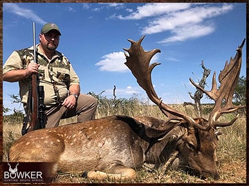 Trophy Hunting South Africa 24 Fallow deer hunting in Africa.