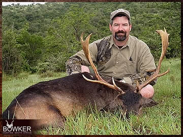 Trophy Hunting South Africa 30 Fallow deer hunting in Africa.