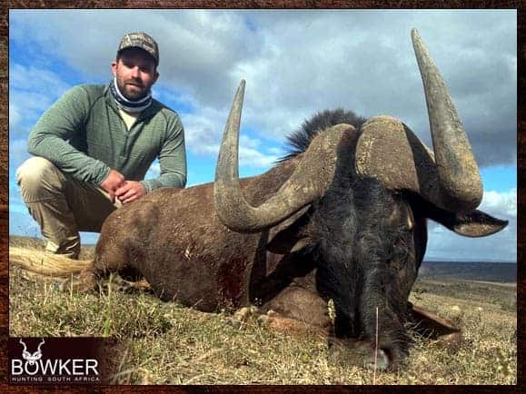 First Time African Hunt - Awsome! 4 First time Black Wildebeest hunt