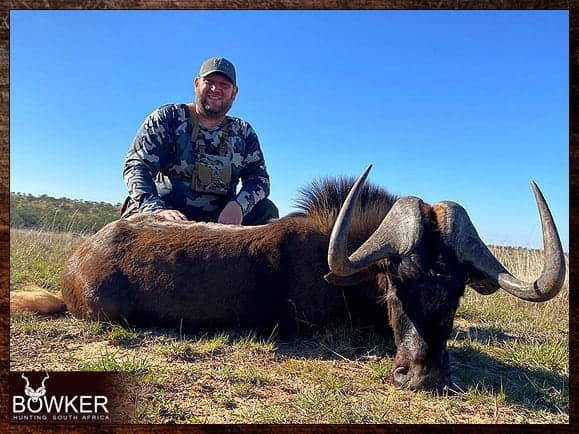 Hunt in South Africa - A Guide to South African Hunting Safaris 20 Black Wildebeest hunting in the Free State.
