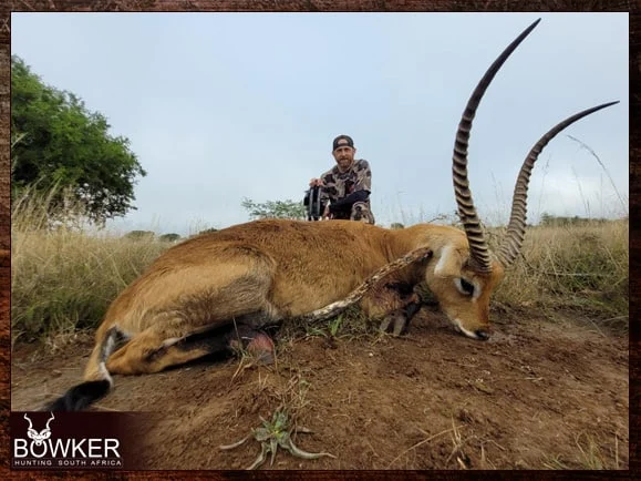 Hunt in South Africa - A Guide to South African Hunting Safaris 24 Red Lechwe hunting in Gauteng.