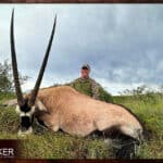 Gemsbok Hunting - All You need Know About Gemsbok Hunts 18 Gemsbok hunt in 2023.