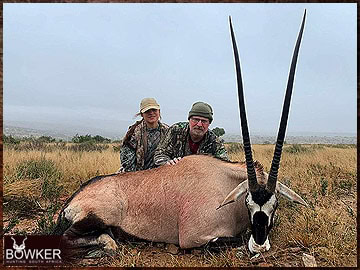 Trophy Hunting South Africa 97 Gemsbok harvested in 2023.