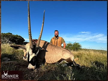 Free Range Hunting and Fair Chase Hunts in South Africa 27 Gemsbok harvested in 2023.