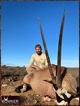 Trophy Hunting South Africa 79 Gemsbok hunting in Africa.