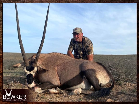 Gemsbok Hunting - All You need Know About Gemsbok Hunts 14 Giant gemsbok trophy hunted with Nick Bowker