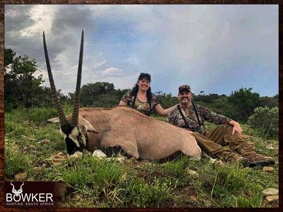 Low-Fenced African Hunting 2 Gemsbok low fenced African Hunting