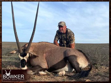 Cape Buffalo Hunting Packages and Prices - Hunt Cape Buffalo 7 Gemsbok trophy taken with Nick Bowker in South Africa.