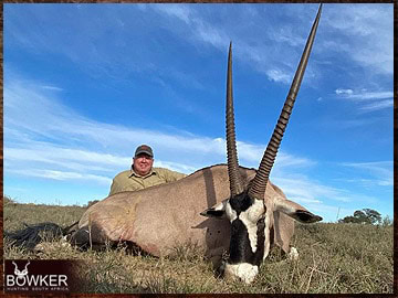 Trophy Hunting South Africa 75 Gemsbok trophy hunted in South Africa.