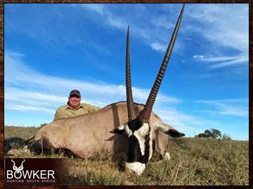 Gemsbok trophies are included in most of our hunting packages. Gemsbok trophies are included in most of our hunting packages